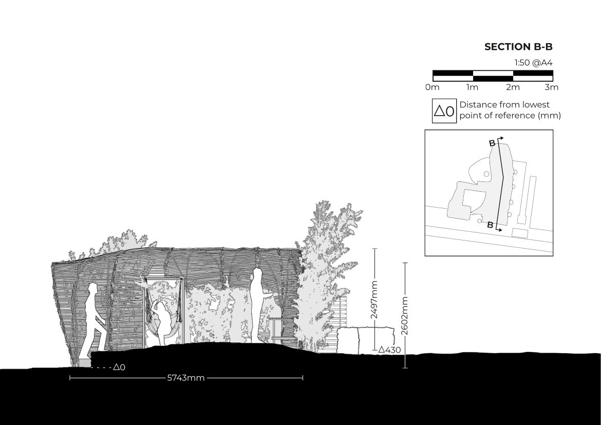 willow cocoon section B-B by Willem Butler